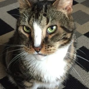 Meet your Posher, Sue